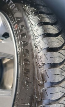 Ford Focus IV Hatchback Facelifting 1.0 EcoBoost 125KM 2025 Ford Focus MATRIX LED NAVI manual kombi opony wielosezonowe fotel AGR, zdjęcie 20