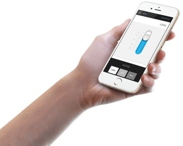 wLightBoxS BleBox WiFi контроллер для моно светодиодных лент