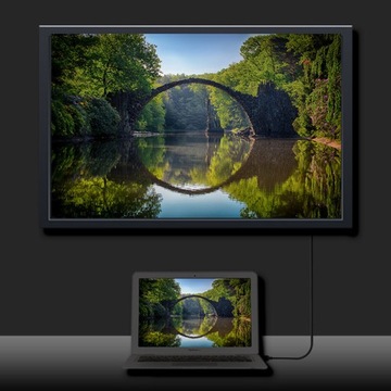 Qoltec DisplayPort v1.2 F DisplayPort v1.2 F 5K 3m