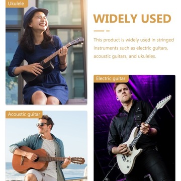 CHORD SPECTRUM SEAL ГИТАРА ПОЧТОВАЯ ТЕГКА CHORD