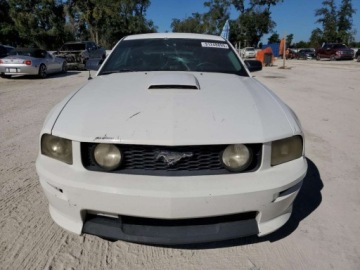 Ford Mustang V 2008 Ford Mustang GT 2008 4.6L 4.6 Benzyna 300KM, zdjęcie 5