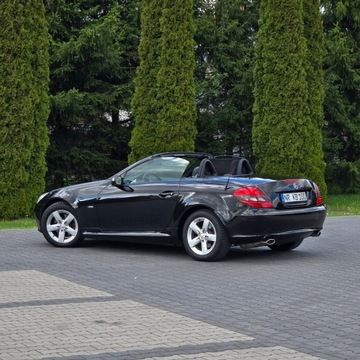 Mercedes SLK R171 Roadster 3.0 V6 (280) 231KM 2008 Mercedes SLK 280 R171 3.0 Benzyna 7G-TRONIC Sport, zdjęcie 17
