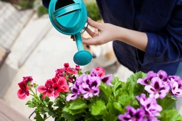 УНИВЕРСАЛЬНЫЙ ГРУНТ ДЛЯ ЦВЕТОВ БИОВИТА 20л