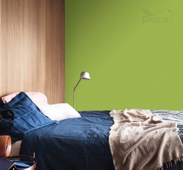 DULUX COLORS OF THE WORLD - экваториальный лес, 5л