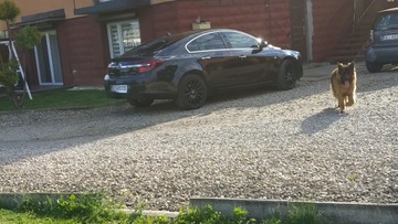 Opel Insignia I Country Tourer 2.0 CDTI Ecotec 163KM 2014 OPEL INSIGNIA A (G09) 2.0 CDTI 4x4 (68) 163 KM, zdjęcie 1