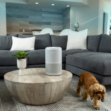 Очиститель воздуха Levoit Core P350 Pet Care