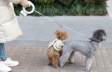 Автоматический поводок для собак Xiaomi Moestar 2 LED