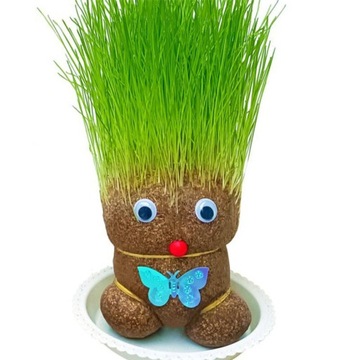 GRASS STYLIST выращивание травы для укладки WATER AND CUT