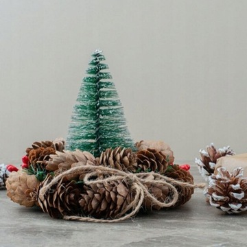 SZYSZKA SZYSZKI NATURALNE SOSNOWE DEKORACYJNE NA STROIK CHOINKĘ SUSZ DUŻY