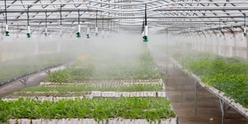 КОМПЛЕКТ: Микроразбрызгиватель Fogger Распылитель Fogger + шланг + загрузка + клапан