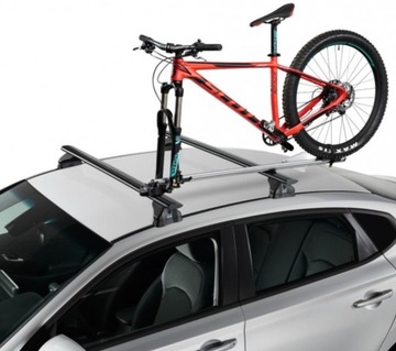 Держатель вилки Cruz Criterium 9,15,20 MM AXLE