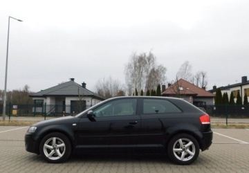 Audi A3 8P Hatchback 3d 2.0 TDI PD 170KM 2007 Audi A3 3-drzwiowe 2.0TDi Quattro Podgrzewane Fotele 2.0 Diesel 170KM, zdjęcie 27