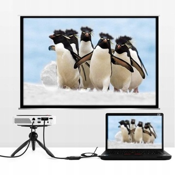 Kabel Adapter mini DisplayPort HDMI 1,8 m DP Wwa