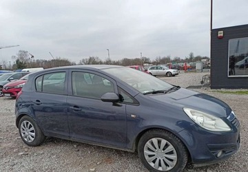 Opel Corsa D Hatchback 1.2 Twinport ECOTEC 80KM 2010 Opel Corsa Opel Corsa, zdjęcie 5