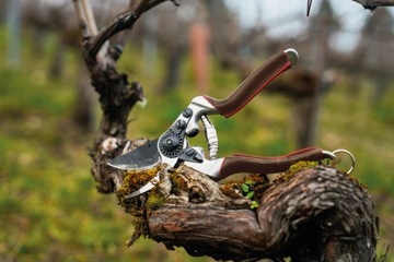 Садовые ножницы FELCO 8 Elite