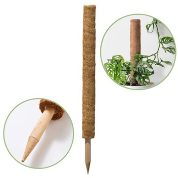 Palik kokosowy 45 cm podpora do roślin tyczka