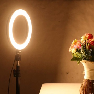 Светодиодный кольцевой светильник для камеры, портативный, 10 дюймов,