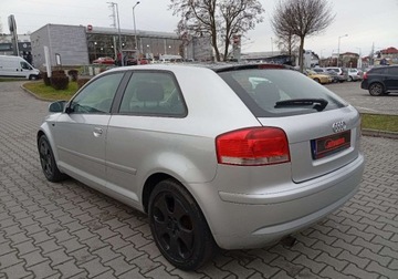 Audi A3 8L Hatchback 1.6 i 102KM 2003 Audi A3 3-drzwiowe Zarejestrowany - ubezpieczony - 1,6 - LPG 1.6 102KM, zdjęcie 9