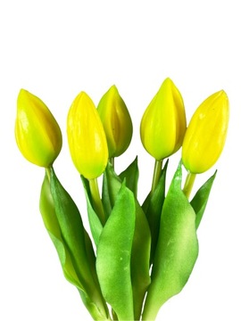 TULIPANY TULIPAN BUKIET GUMOWANE ŻÓŁTE 5 SZT