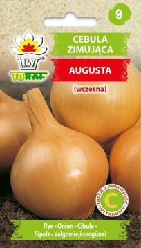 Cebula zimująca AUGUSTA (wczesna) 2g TORAF