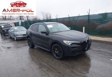 Alfa Romeo Stelvio SUV Facelifting 2.0 Turbo 280KM 2020 Alfa Romeo Stelvio TI 2020 2.0l 2.0 Benzyna 280KM