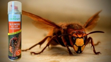 СЛУКЕР ДЛЯ ОС И ШЕРШЕЙ СПРЕЙ БЫСТРО И ЭФФЕКТИВНО РАЗРУШАЕТ ГНЕЗДА 300МЛ