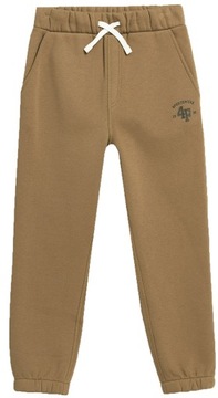 ДЕТСКИЕ СПОРТИВНЫЕ БРЮКИ 4F ДЛЯ МАЛЬЧИКОВ, ХЛОПОК AW23M419