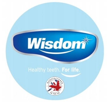 Ластик WISDOM для удаления зубных пятен
