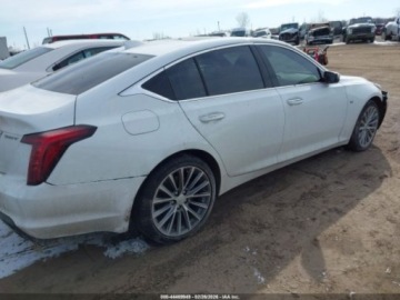 Cadillac 2020 Cadillac CT5 Premium Luxury 2020 3.0 Benzyna 335KM, zdjęcie 5