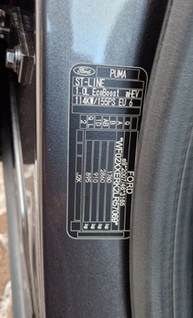 Ford Puma II Crossover 1.0 EcoBoost mHEV 155KM 2020 Ford Puma ST-Line - 155 KM - Super stan Zarejestrowany Hybryda, zdjęcie 11