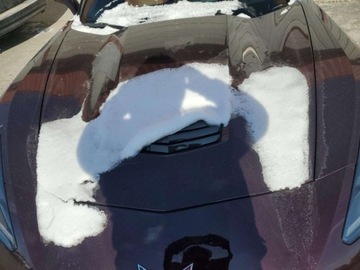 Chevrolet Corvette C7 2018 Chevrolet Corvette Grand Sport 1LT 2018 6.2l 6.2 Benzyna 460KM, zdjęcie 6