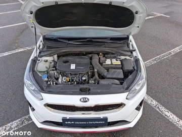 Kia Proceed Shooting Brake 1.6 T-GDI 204KM 2020 Kia ProCeed Kia ProCeed 1.6 Benzyna 204KM, zdjęcie 26