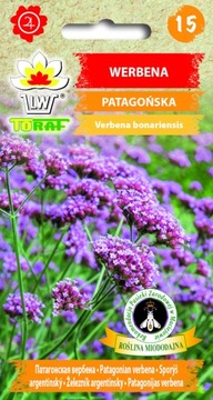 Werbena patagońska Toraf