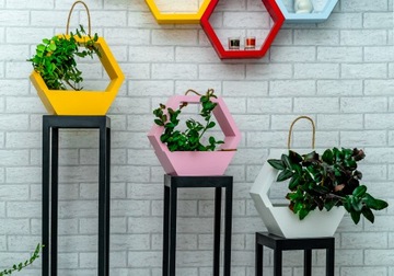 PÓŁKA PLASTER MIODU HEKSAGON DREWNO SOSNA 8 SZTUK