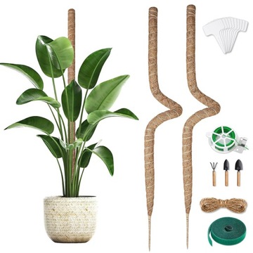 2 SZT KIJKÓW DO ROŚLIN DO OGRODU 64 CM SŁUP DO MCHU DO ROŚLIN DOMOWYCH