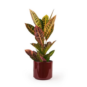 Osłonka Ceramiczna Cylindryczna Gładka 14 x 16.5