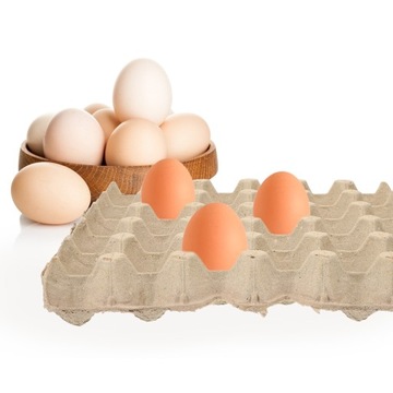 5 шт. ПЛОСКИЕ БУМАЖНЫЕ ЯЙЦА КОРОБКА ДЛЯ ЯИЦ ПУСТОЕ ЯЙЦО