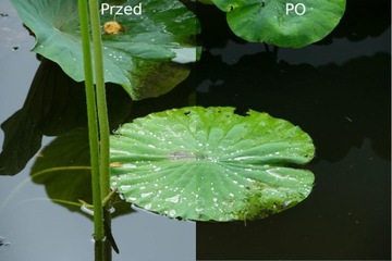 Фильтр Hoya UX II CIR-PL 46 мм