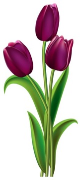 NAKLEJKA NA OKNO LUSTRO SZYBĘ KWIATKI TULIPANY