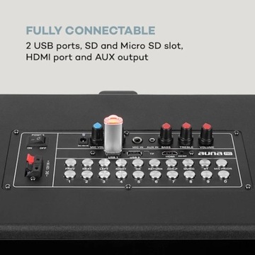 Караоке-система Auna KTV 100 Вт черный