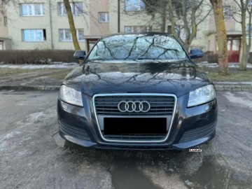 Audi A3 8P Hatchback 3d 2.0 TDI PD 140KM 2008 Audi A3 Sportback Audi A3 Sportback 2,0 Diesel Bogate Wyposazenie Hak Zami, zdjęcie 1