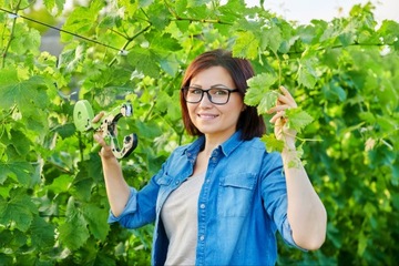 СТЕПЛЕР САДОВЫЙ ДЛЯ РАСТЕНИЙ, КУСТАРОВ, TAPENER TAPENER TAPENER