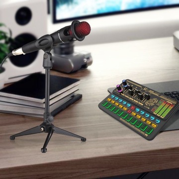 Портативный преобразователь голоса для живой звуковой карты SK500