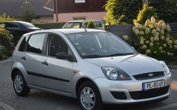 Ford Fiesta VI 1.4 16V 80KM 2006