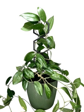 Опоры для цветов, растений, лестничная опора для перголы HEXAL XL - 54см