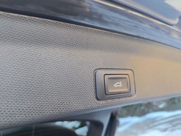 Cupra Terramar SUV 1.5 eTSI 150KM 2025 Cupra Terramar serwis ASO 1.5eTSI 150KM bezwypadkowy pakiety kamera360 nav, zdjęcie 20