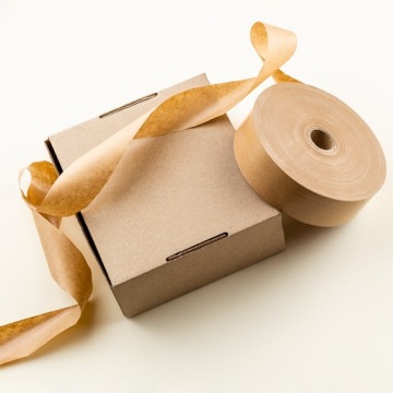 RAYPATH МАШИНА ДЛЯ ОЧИСТКИ ОКОННЫХ СТЕКЛОВ, РАСКЕЛЬ ДЛЯ ОЧИСТКИ ЗЕРКАЛ, 25 см БЕСПЛАТНО