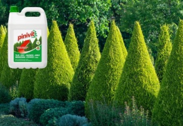Жидкое удобрение Florovit для хвойных деревьев Pinvit 5,5 л