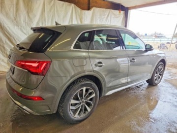 Audi Q5 II 2024 Audi Q5 Premium Plus 45 2024 2.0 Benzyna 261KM, zdjęcie 3