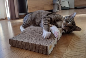 Когтеточка для кошек из картона Catnip WAVE